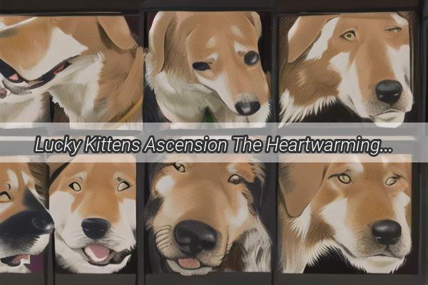 Lucky Kittens Ascension The Heartwarming Tale of a Dogs Unexpected Heroism